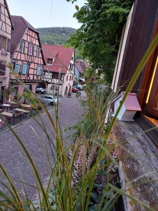 S'Gleina Gleck, In The Heart Of A Wine City, Charmant Studio 1 Piece Et 1 Salle De Bain Kaysersberg-Vignoble Exteriér fotografie